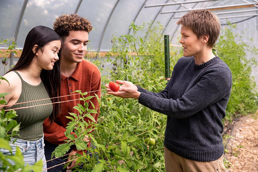 Two students and a faculty member look at a tomato during ecology class
